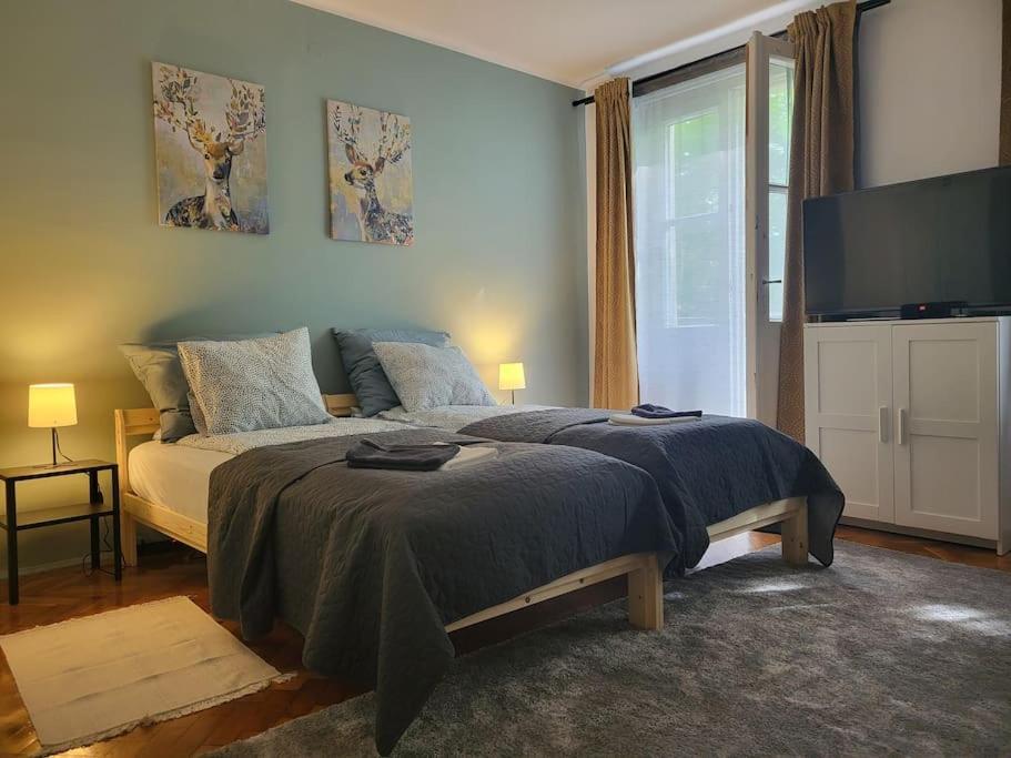 Apartment Tornyai Hódmezővásárhely